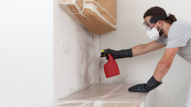 Professional Bathroom Mold Removal technician working in Drayden, MD