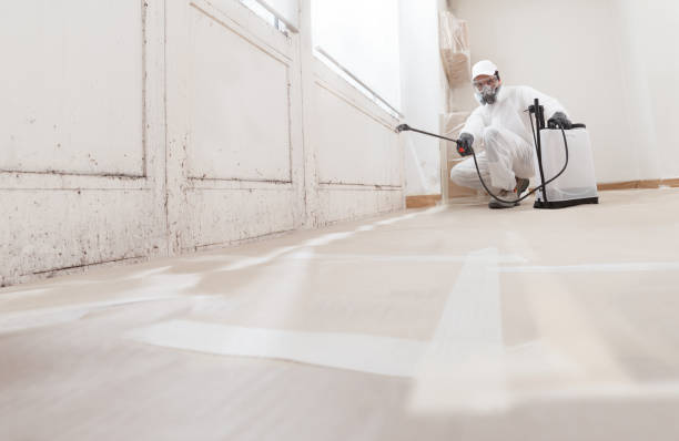 24/7 Emergency Bathroom Mold Removal experts in Drayden, MD
